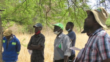 Mashona-Cattle-Society-Nov-2021-Field-Day