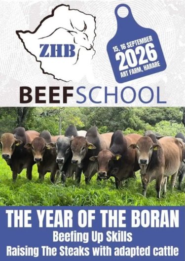 Mashona-Cattle-Society-ZHB-Beef-School-2026-flyer