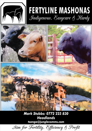 Mashona-Cattle-Society-of-Zimbabwe-Fertyline-Stud-ad-b